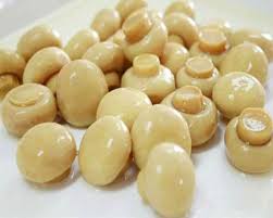 تصویر 5 از کنسرو قارچ دکمه ای 350 گرمی + بهترین قیمت خرید عمده و ارزان